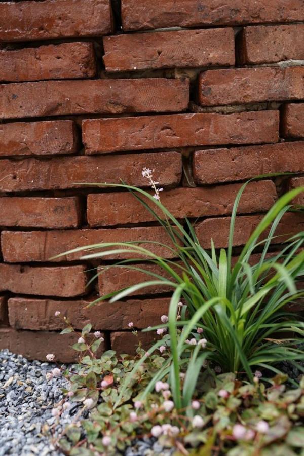 Bloomin' Moon Hostel & Cafe, Chiang Mai Old Town Bagian luar foto